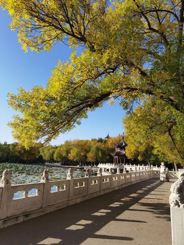 天津寧園。
