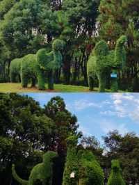 邂逅花開滿園，鳳凰溝等你來遊。