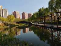 遊上海：桃浦中央綠地公園。