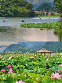 普者黑旅行超詳細攻略。