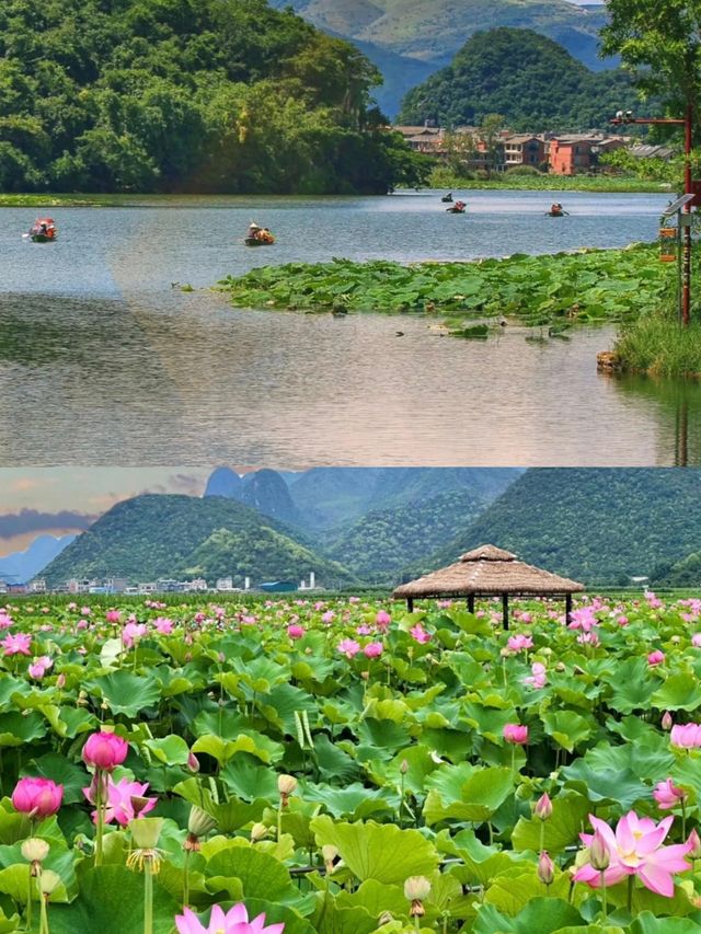 普者黑旅行超詳細攻略。