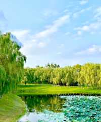 莫子山畔:自然盛景與人文雅韵的交融畫卷