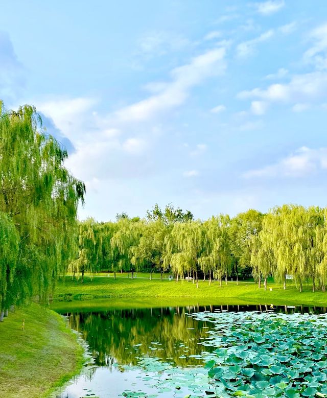 莫子山畔:自然盛景與人文雅韵的交融畫卷 莫子山畔:自然盛景與人文雅韵的交融畫卷