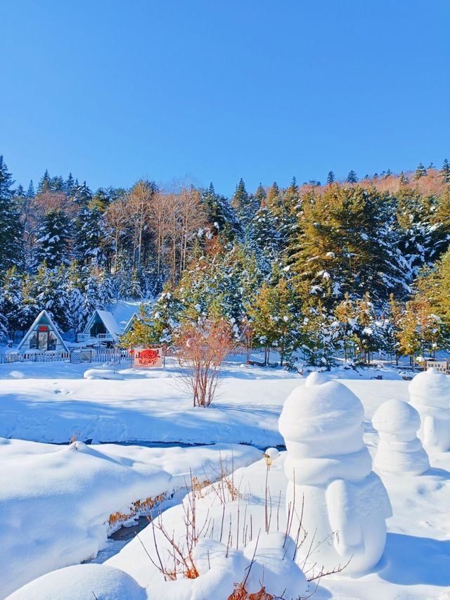 對不起了雪鄉，與之相比這裡更是童話世界！