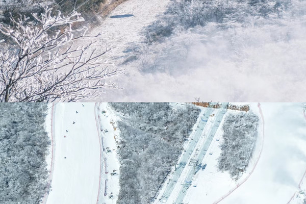 這裡才是江浙滬滑雪的天花板真的好刺激|Trip.com 杭州