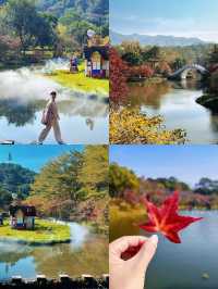 清遠田野綠世界，紅楓葉美得封神啊