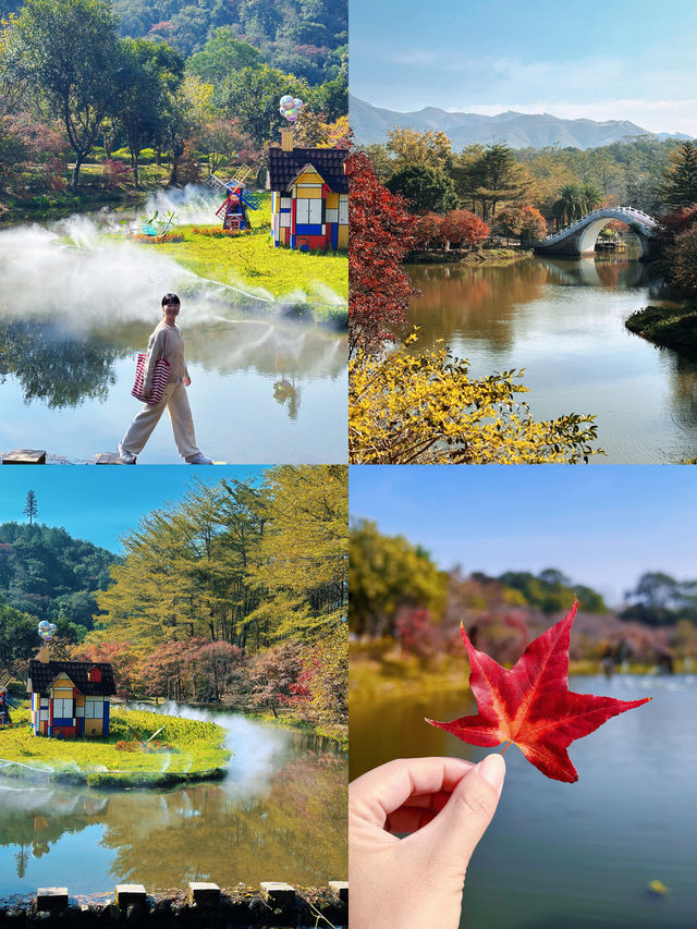 清遠田野綠世界，紅楓葉美得封神啊