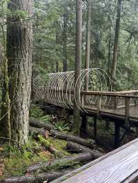 Experience the Thrill of Capilano Suspension Bridge Park