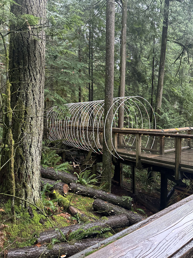 Experience the Thrill of Capilano Suspension Bridge Park