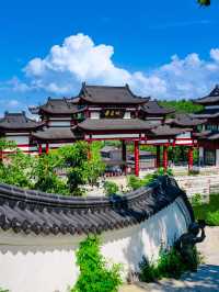 威海親子遊超全攻略好玩不貴別錯過