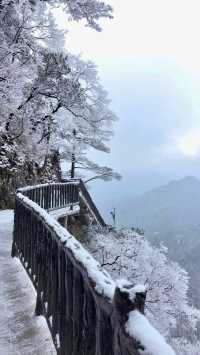 賞雪光霧山，邂逅夢幻冬景