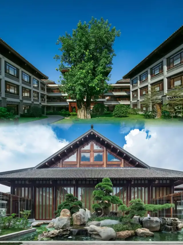 A hidden gem in the south! A Zen hot spring hotel in the hometown of the Sixth Patriarch