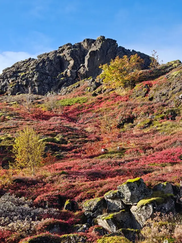 Winter Break in Iceland: A Breathtaking Experience