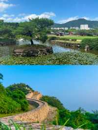 釜山周邊遊|金海櫻花自行車(附攻略)