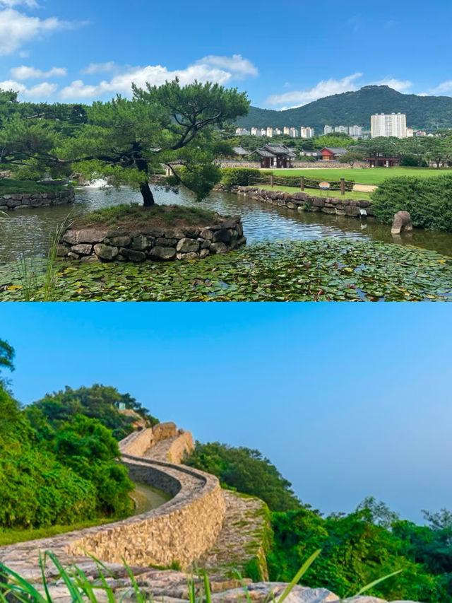 釜山周邊遊|金海櫻花自行車(附攻略)