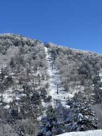 Japan Ski Guide: Ryuoo Ski Park in Shiga Kogen