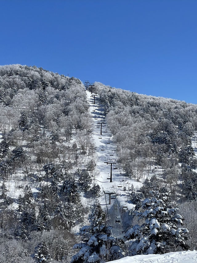 Japan Ski Guide: Ryuoo Ski Park in Shiga Kogen