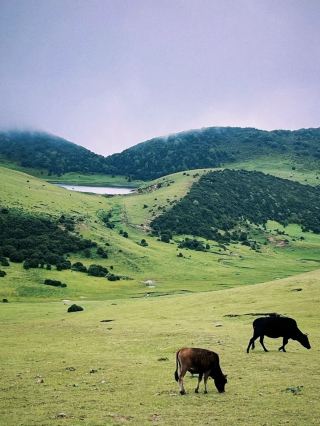 Dali Niaodiao Mountain Hiking Guide