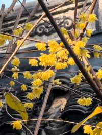 黃家花園舊址