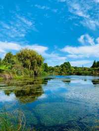 Auckland Botanic Gardens: A Scenic Escape