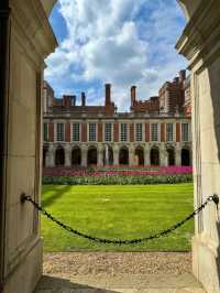 Explore Hampton Court Before Tulip Season Ends
