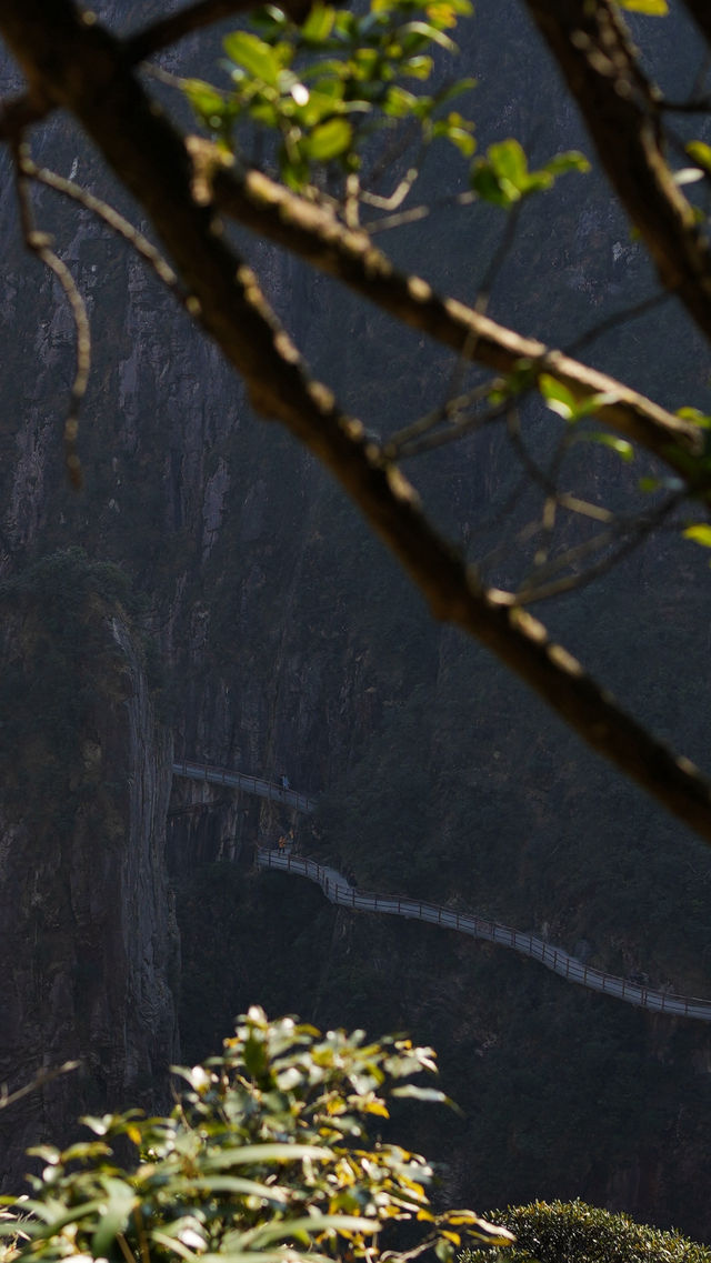 郴州莽山｜可以坐電梯的高山