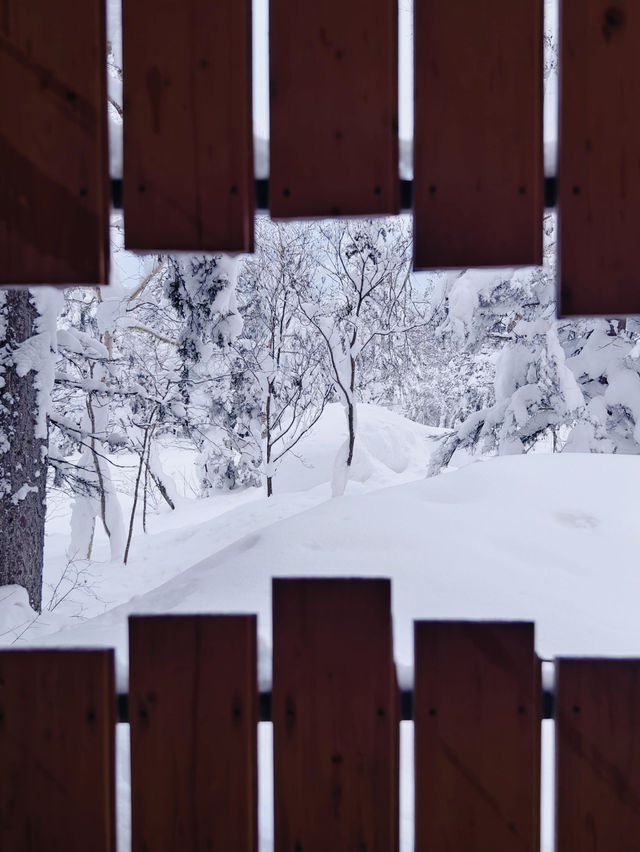 日本賞雪 旭岳大雪山～ La Vista 大雪山酒店||