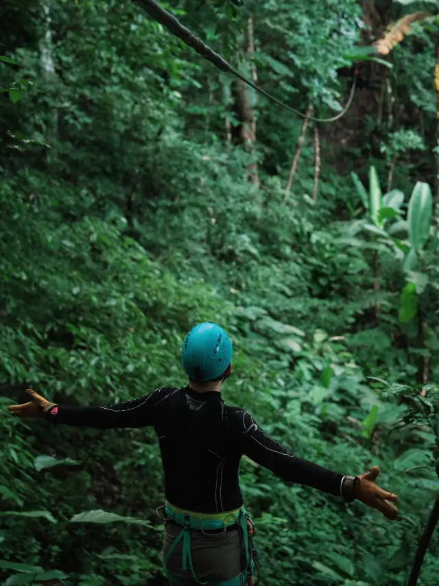 Around Xishuangbanna!! Great hiking spots for the New Year! A real-life green forest