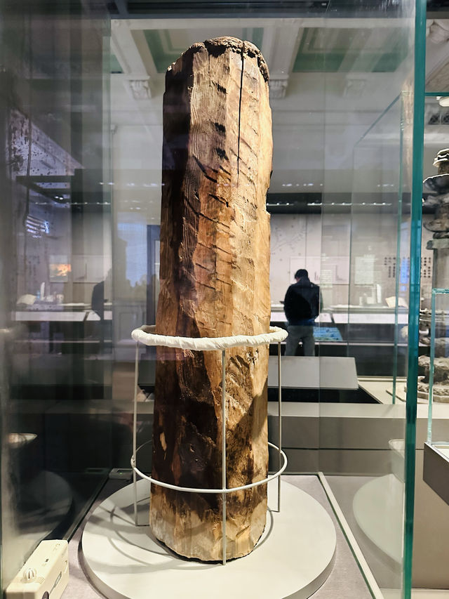 古代上海