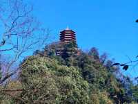 Discover Qingchengshan: Sacred Temples, Stunning Views☯️