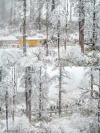 被低估嘅冰雪王國（瓦屋山）