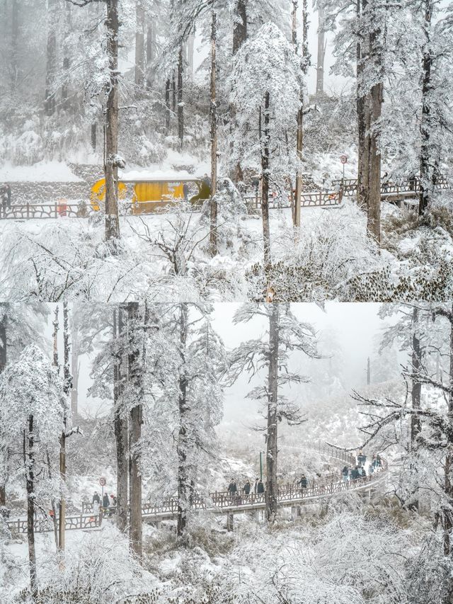 被低估嘅冰雪王國（瓦屋山）