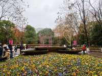 迎春本地遊｜市中心難得的大片綠地——人民公園