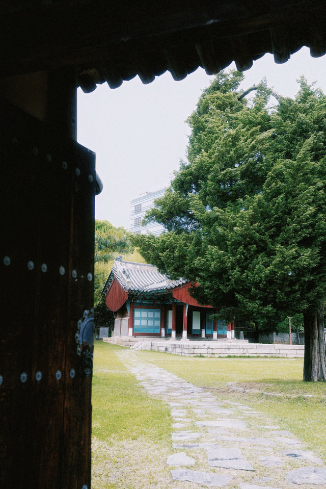 在首爾逛韓國知名大學-梨大&延大