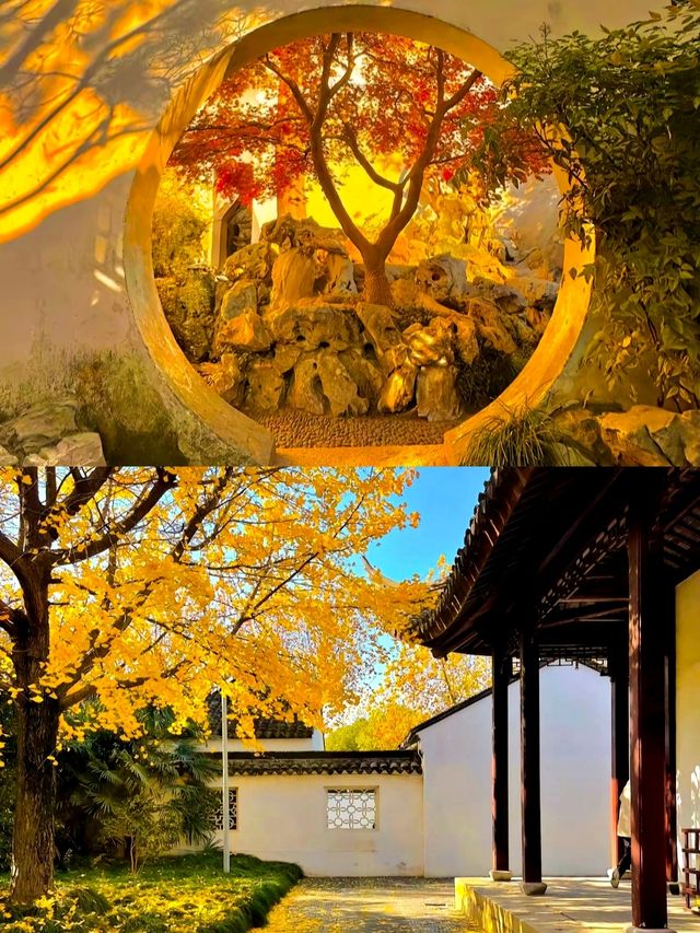 一朝入姑蘇，滿眼石江南