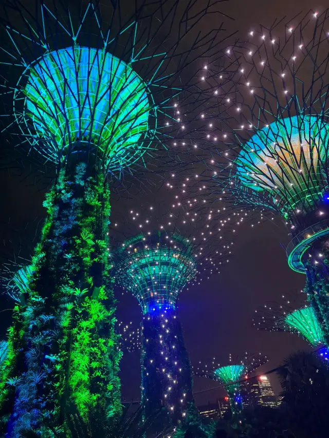 Singapore 6-Day Visa-Free Tour: Check Out This Itinerary Guide