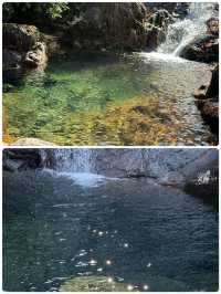 在大奇山國家森林公園偶遇“神秘生物”，你猜是啥？