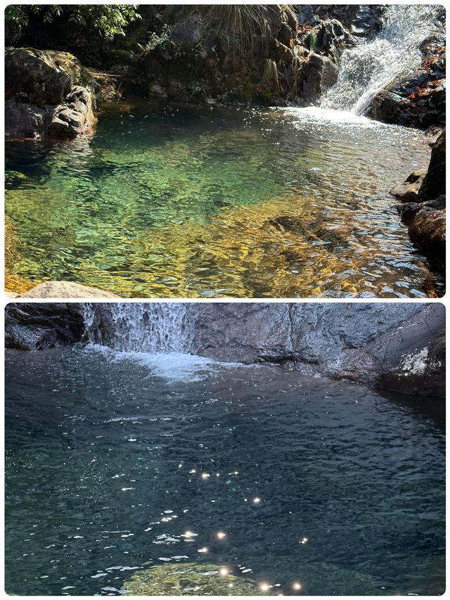 在大奇山國家森林公園偶遇“神秘生物”，你猜是啥？