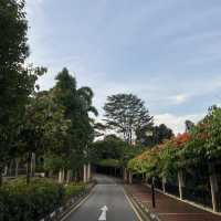 🇸🇬人生建議：離開新加坡前一定要去這裡