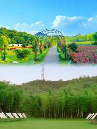 莫干山遛娃好去處，小朋友玩了不想走