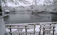 【京都· 龍安寺雪景·2025】