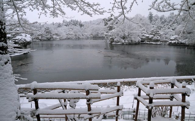 【京都· 龍安寺雪景·2025】