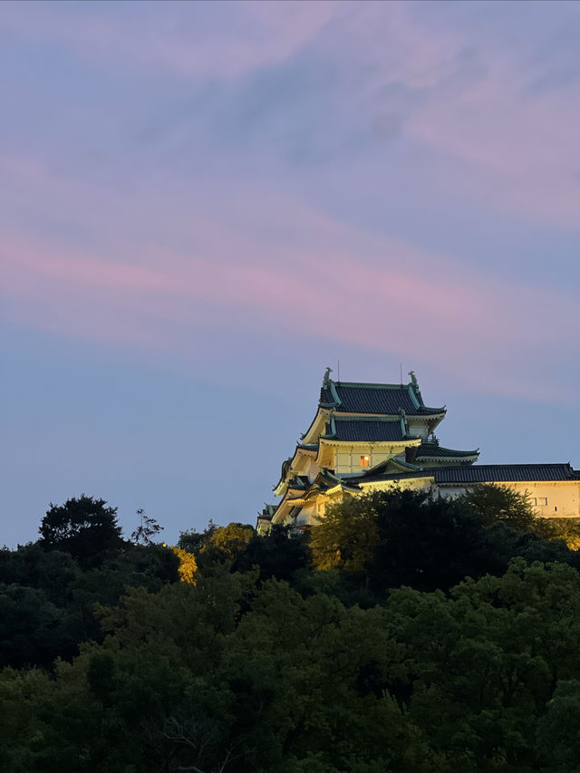 聖地巡禮・最美小眾海岸線｜和歌山・白濱
