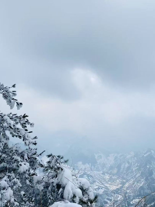 暢遊浙西「小雪山」——太子尖雪景