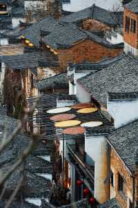 江西安徽｜南昌-婺源-黃山｜七天六夜旅行攻略
