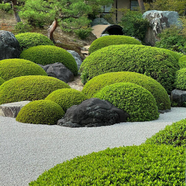 被我找到啦✨日本最美庭院——足立美術館