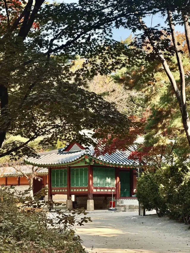 Ancient Echoes: Whispers of Time in the Jongmyo Shrine