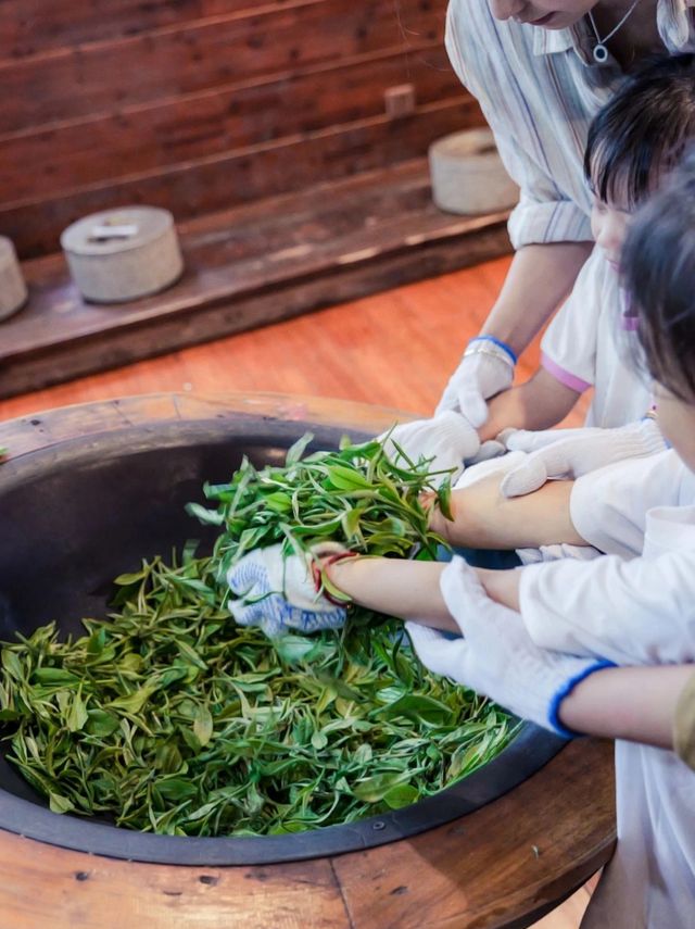春天森林系治愈玩法，快樂加倍！