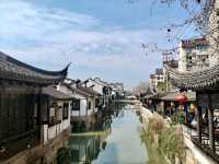 Exploring The Streets of Nanxiang Ancient Town🏮✨