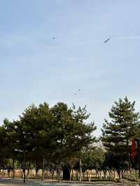 鍾意西安每個有陽光嘅日子